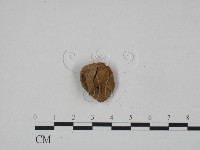 登錄號:F0024655藏品圖，第3張