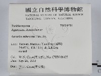 登錄號:F0024656藏品圖，第2張