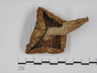 登錄號:F0024657藏品圖，第3張