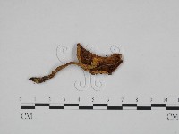 登錄號:F0024663藏品圖，第1張