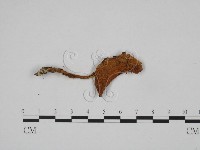 登錄號:F0024663藏品圖，第3張