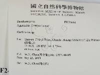 登錄號:F0024664藏品圖，第2張