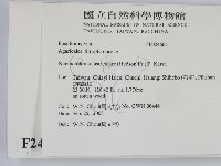 登錄號:F0024665藏品圖，第2張