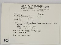 紅菇屬藏品圖，第2張