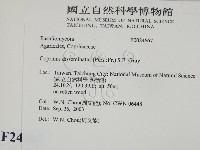 登錄號:F0024667藏品圖，第2張