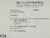 登錄號:F0024668藏品圖，第2張