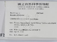 登錄號:F0024669藏品圖，第2張