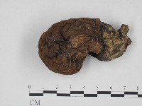 登錄號:F0024669藏品圖，第1張