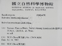 登錄號:F0024670藏品圖，第2張