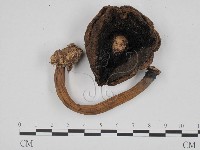 登錄號:F0024670藏品圖，第3張