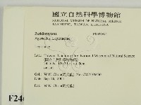 登錄號:F0024671藏品圖，第2張