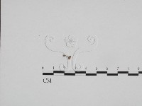 登錄號:F0024671藏品圖，第1張