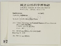 登錄號:F0024672藏品圖，第2張