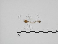 登錄號:F0024672藏品圖，第1張