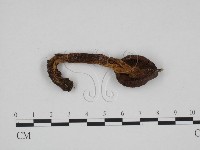 登錄號:F0024673藏品圖，第1張
