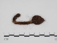 登錄號:F0024673藏品圖，第3張
