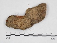 登錄號:F0024674藏品圖，第3張