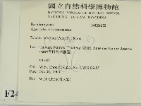 登錄號:F0024675藏品圖，第2張