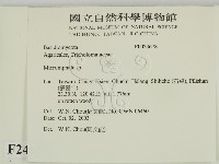登錄號:F0024678藏品圖，第2張