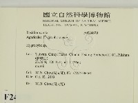 濕傘屬藏品圖，第2張