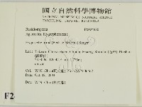 登錄號:F0024680藏品圖，第2張