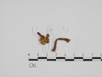 登錄號:F0024680藏品圖，第1張