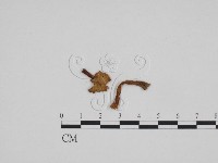 登錄號:F0024680藏品圖，第3張