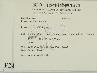 登錄號:F0024681藏品圖，第2張