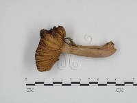 登錄號:F0024683藏品圖，第3張