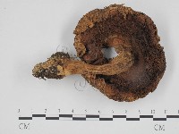 登錄號:F0024688藏品圖，第3張