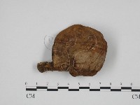 登錄號:F0024689藏品圖，第3張