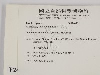 登錄號:F0024690藏品圖，第2張