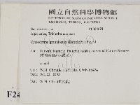 登錄號:F0024691藏品圖，第2張