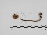 登錄號:F0024692藏品圖，第3張