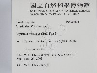 登錄號:F0024695藏品圖，第2張