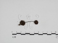 登錄號:F0024696藏品圖，第1張