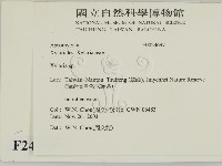 炭角菌屬藏品圖，第2張