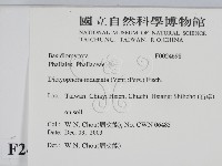 登錄號:F0024698藏品圖，第2張