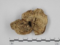 登錄號:F0024698藏品圖，第3張