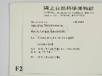 登錄號:F0024699藏品圖，第2張