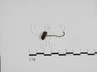 登錄號:F0024701藏品圖，第3張