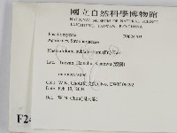 登錄號:F0024703藏品圖，第2張