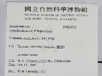 雲芝藏品圖，第2張