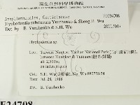 登錄號:F0024708藏品圖，第2張