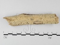 登錄號:F0024708藏品圖，第1張