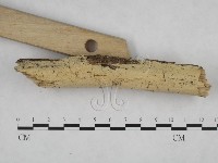 登錄號:F0024708藏品圖，第3張
