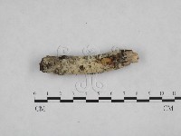 登錄號:F0024709藏品圖，第1張
