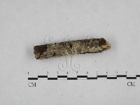 登錄號:F0024709藏品圖，第3張