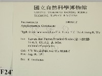 登錄號:F0024712藏品圖，第2張