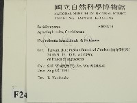 登錄號:F0024713藏品圖，第2張